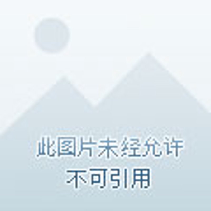 办公新风尚：文具行业的未来趋势